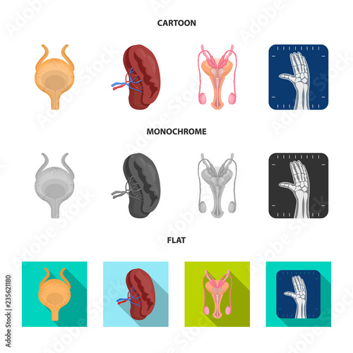 Vector design of body and human icon. Set of body and medical vector icon for stock.