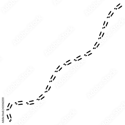 Footprints of the rabbit.