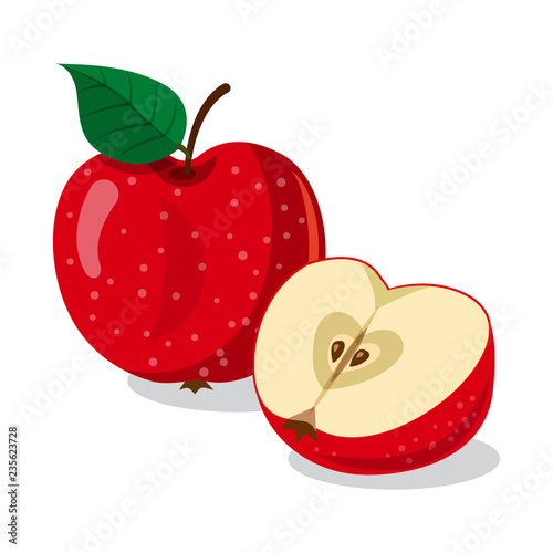 Vector design of vegetable and fruit icon. Collection of vegetable and vegetarian stock vector illustration.
