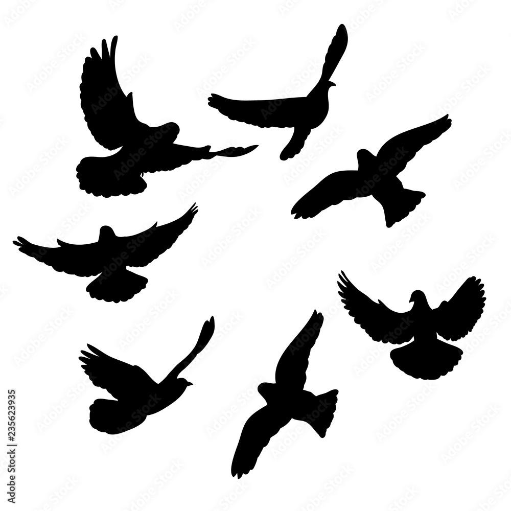  isolated, flock of birds flying, black silhouette