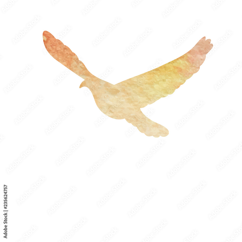 Obraz premium isolated, flying bird, dove silhouette watercolor