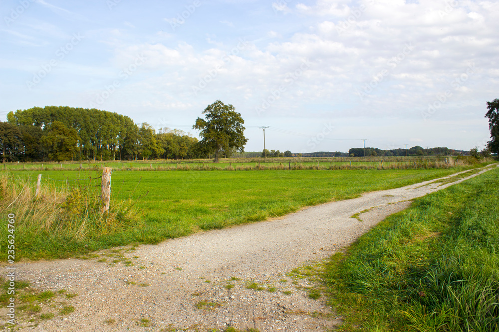  meadows and road in a rural area of Lower Rhine, Germany