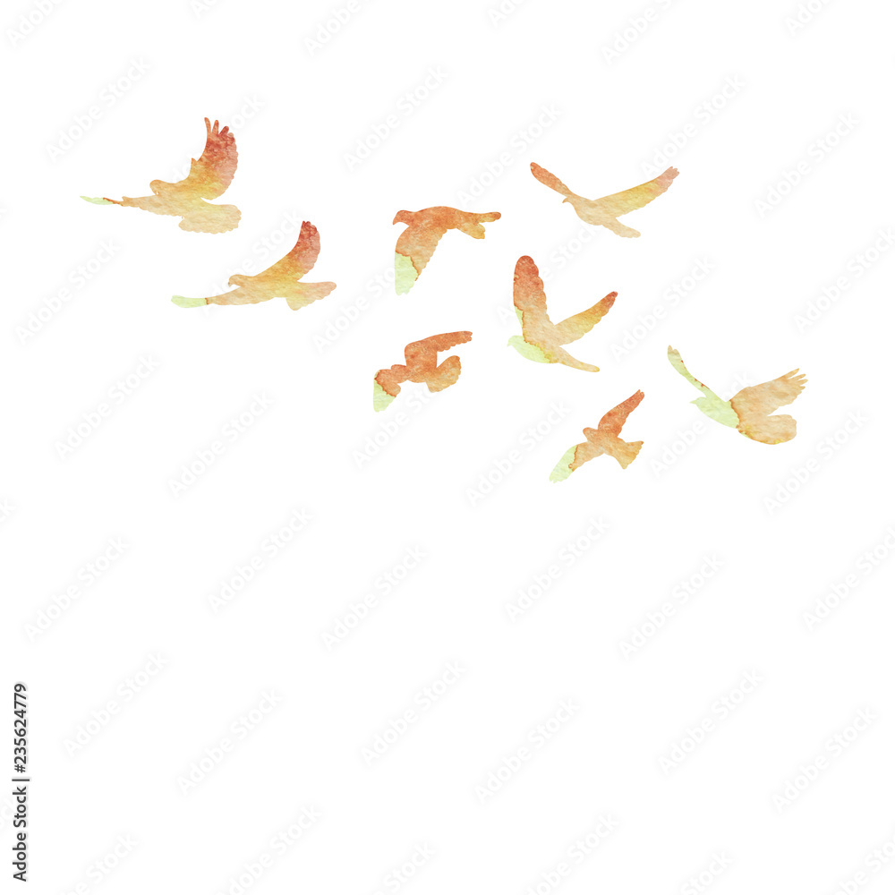 Obraz premium isolated, a flock of flying birds, watercolor silhouette of pigeons