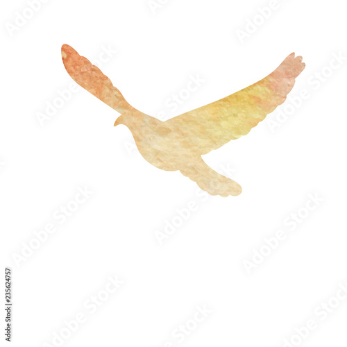 isolated, flying bird, dove silhouette watercolor
