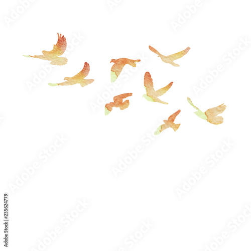 isolated, a flock of flying birds, watercolor silhouette of pigeons