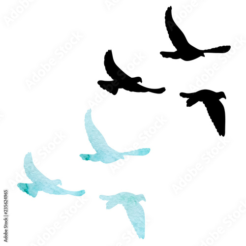 isolated, flock of flying birds, black silhouette of pigeons flying on a white background