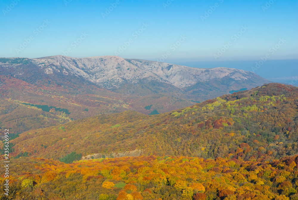 Landscape in Crimean mountains covered with beech forest at fall season