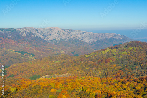 Landscape in Crimean mountains covered with beech forest at fall season