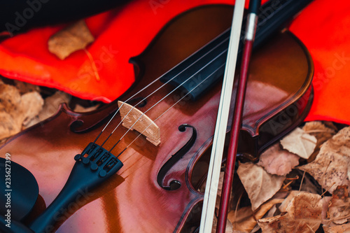 violin closeup on a red plaid in the forest