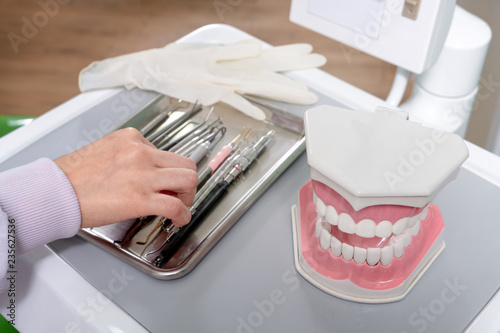 White teeth model and dental instruments on table in Dentist Clinic