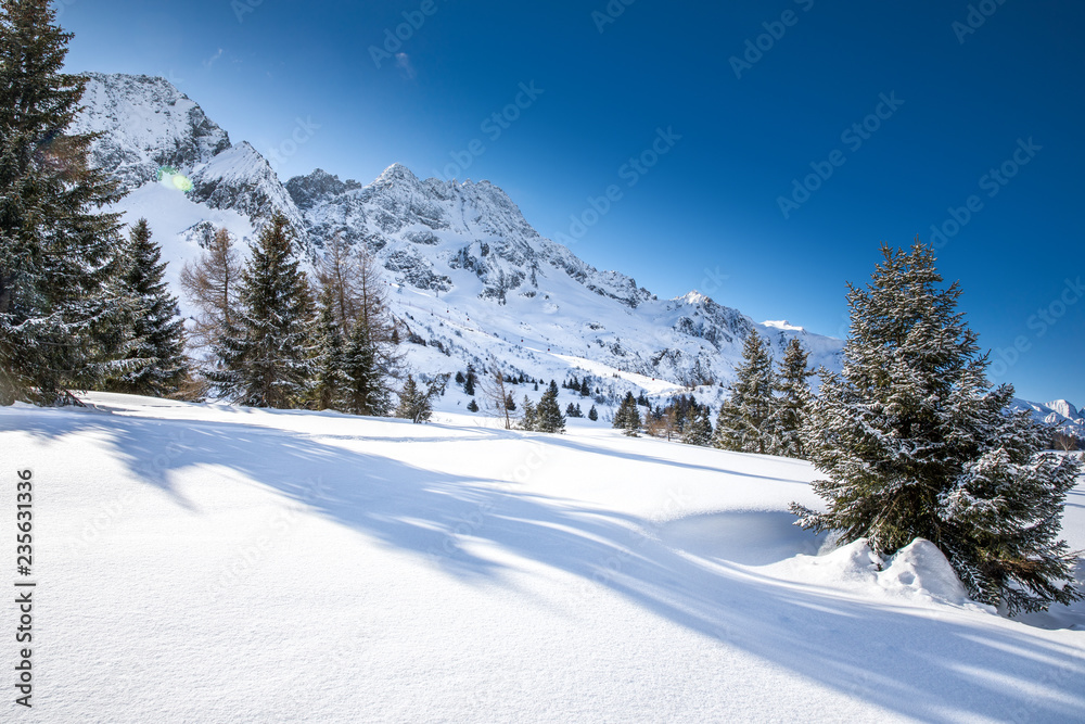 Stunning winter sunrise over Adamello, Presanella mountains from Tonale town, Italian Alps, Europe Stunning winter sunrise over Adamello, Presanella mountains from Tonale town, Italian Alps, Europe