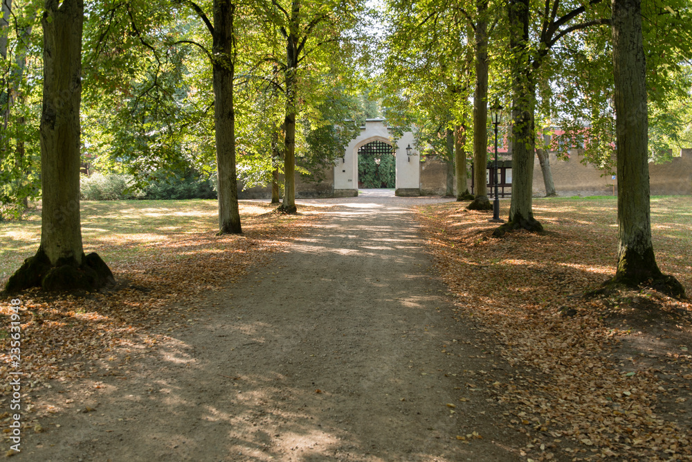 A rocky path in a tree avenue with a castle gate in the background.