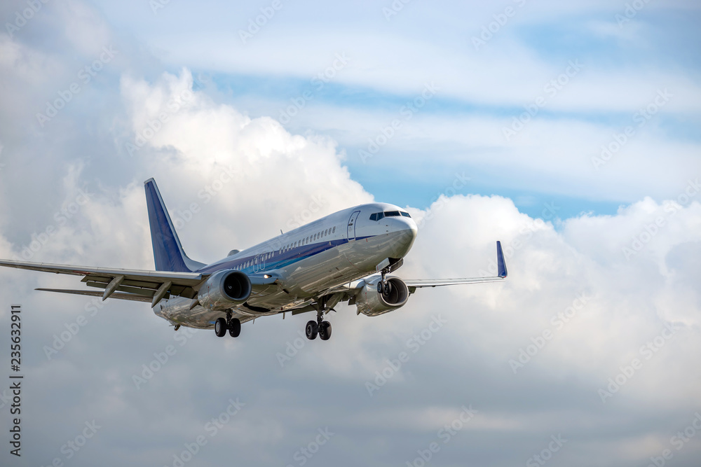 Obraz premium 滑空する旅客機