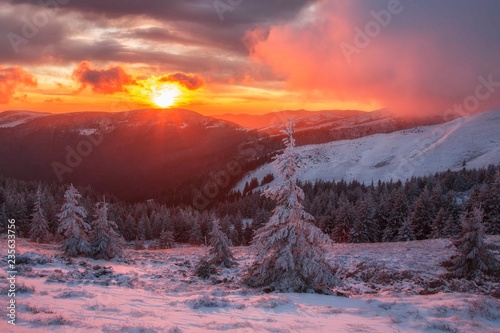 fantastic sunset in the winter Carpathians with fir-trees covered in snow in the foreground. Fantastic orange evening landscape glowing by sunlight. Dramatic wintry scene with snowy trees. 