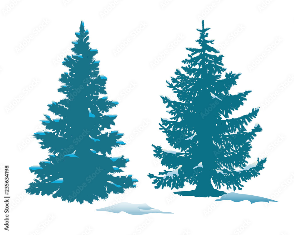 Spruce in the snow. Vector illustration of snow covered firs.