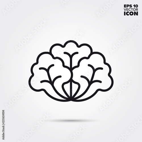 Lettuce vegetable vector line icon