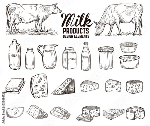 Set of hand drawn milk products design elements. butter, cheese, sour cream, yogurt, cows. For package, poster, sign, banner, flyer.