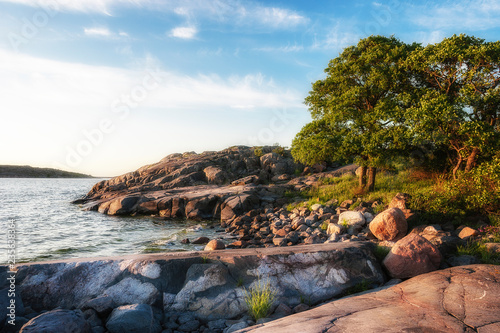 sunset at midsummer in the ...