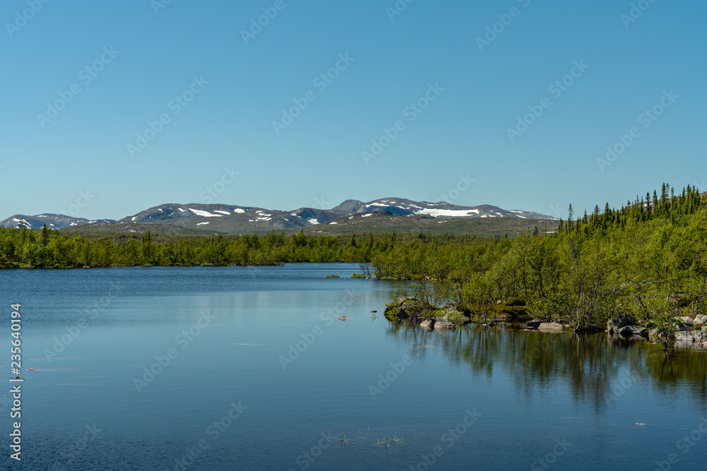 Swedish highlands in summer sunshine