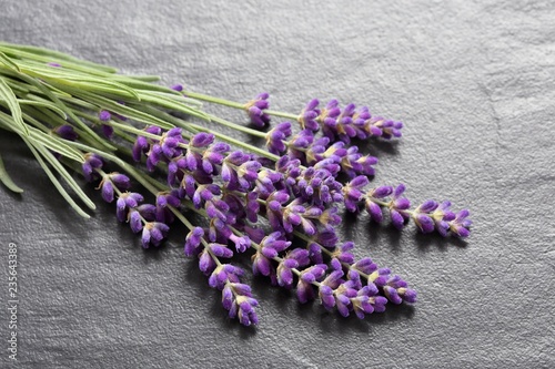 Fototapeta Naklejka Na Ścianę i Meble -  Bouquet of lavender  on a gray  background.
