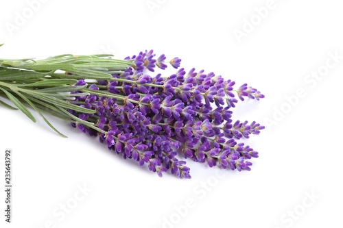 Bouquet of lavender.