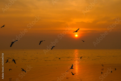 Sea gull fly over the sunset travel in thailand © subinpumsom