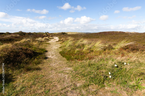 Sandweg in den Dünen