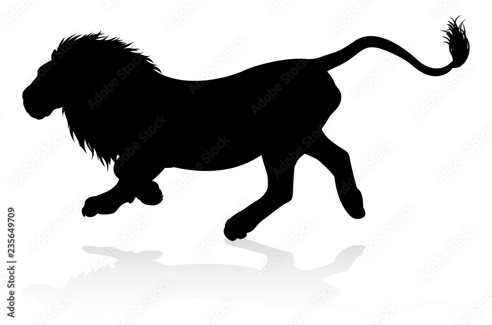 A male lion safari animal in silhouette