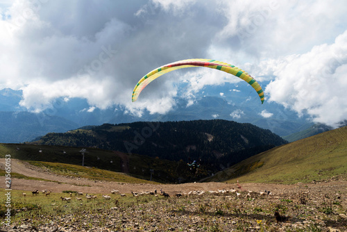 Two people on a colorful paraglider rise to the sky. In Sochi in the summer in sunny weather. Below you can see mountains, low clouds, a flock of sheep, a forest, and a ski lift.