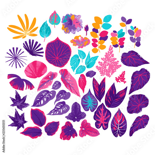 Vector collection of different exotic leaves drawn in the technique of rough brush