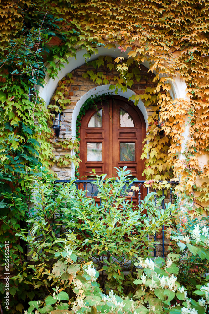 Beautiful window covered with leaves. Vertical background. Architecture, design.