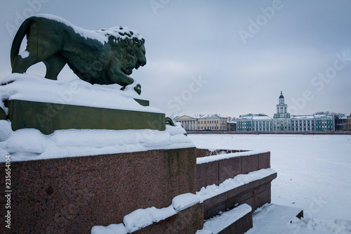 statue of a lion and kuntskamery building, St. Petersburg, Russia