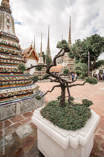 Vertical photo of Wat Pho or Temple of the Reclining Buddha in Bangkok, Thailand. One of the most attractive landmark in Thailand.