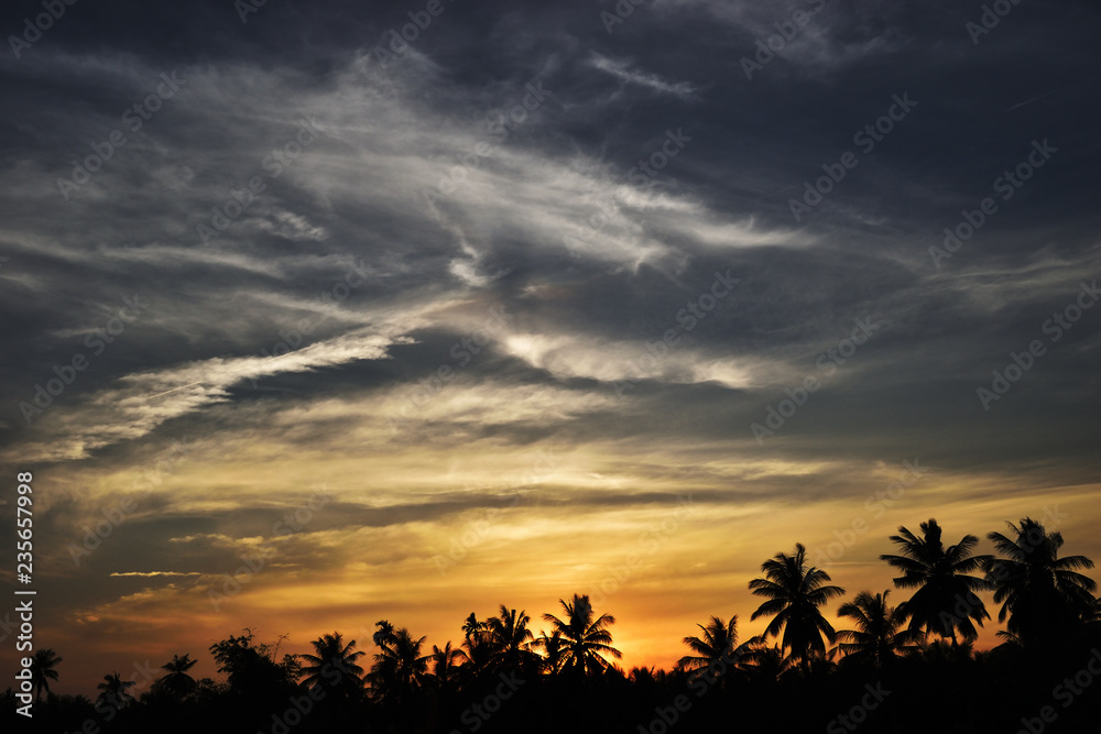 Silhouette of coconut and other trees with beautiful sky at sunset, Photos back - light at the horizon began to turn gold color and dark Cumulonimbus cloud , Fluffy clouds formations at tropical zone Silhouette of coconut and other trees with beautiful sky at sunset, Photos back - light at the horizon began to turn gold color and dark Cumulonimbus cloud , Fluffy clouds formations at tropical zone