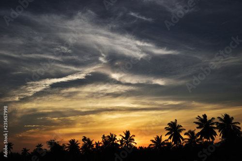 Silhouette of coconut and other trees with beautiful sky at sunset, Photos back - light at the horizon began to turn gold color and dark Cumulonimbus cloud , Fluffy clouds formations at tropical zone