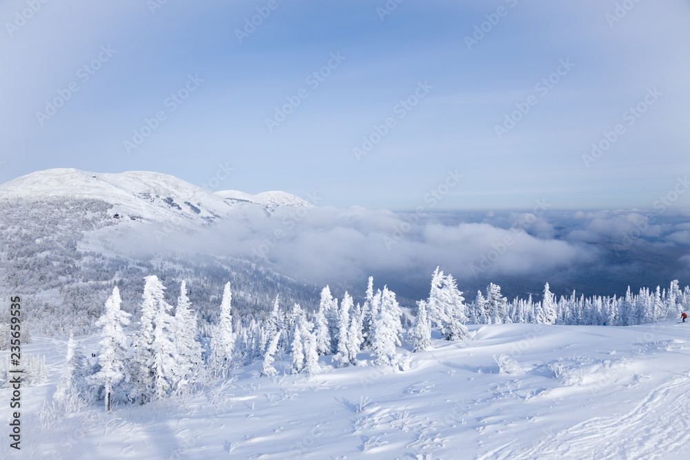 Fototapeta premium Panoramic scenic view from top of mountain landscapes winter valley, snow-capped peaks of mountains and trees, hills, fog, clouds. Concept Swiss Alps, Krasnaya Polyana, Sochi, Sheregesh, Austria