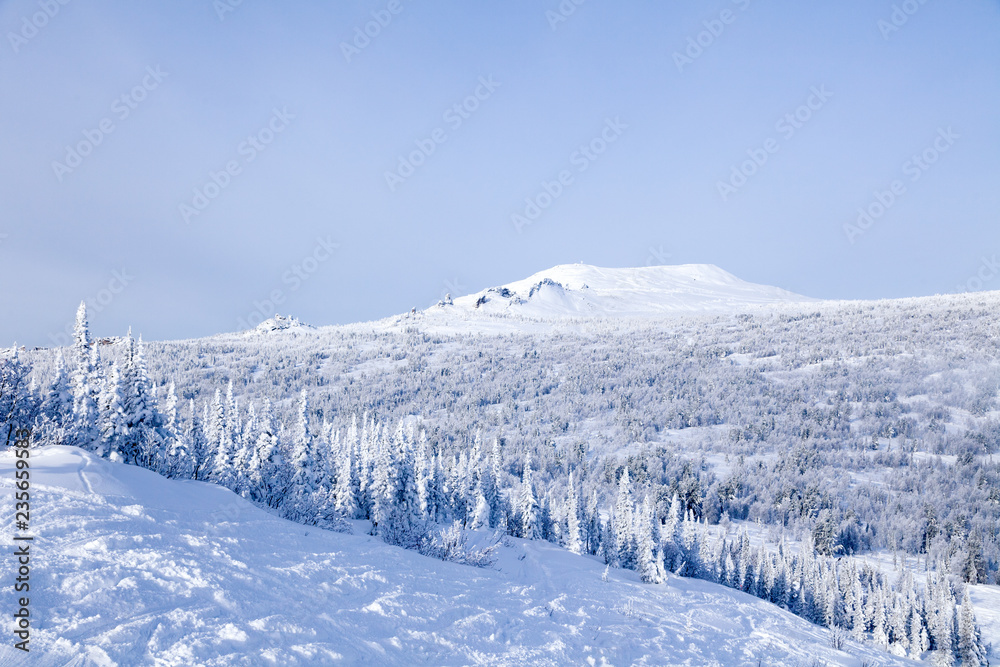 Panoramic scenic view from top of mountain landscapes winter valley, snow-capped peaks of mountains and trees, hills. Concept Swiss Alps, Krasnaya Polyana, Sochi, Sheregesh, Austria