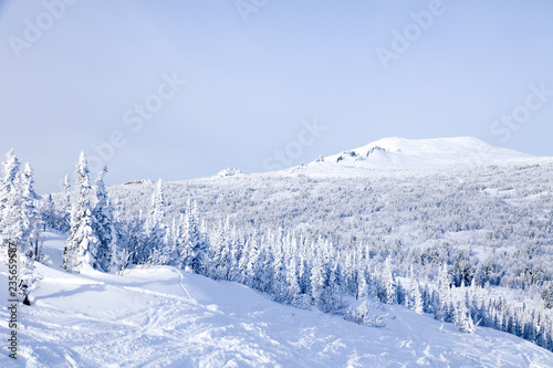 Panoramic scenic view from top of mountain landscapes winter valley, snow-capped peaks of mountains and trees, hills. Concept Swiss Alps, Krasnaya Polyana, Sochi, Sheregesh, Austria
