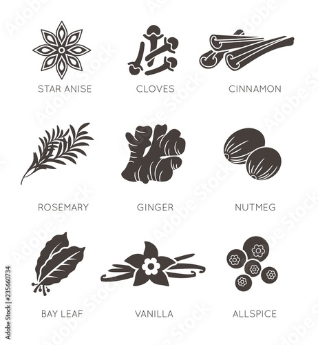 Spices icon vector set