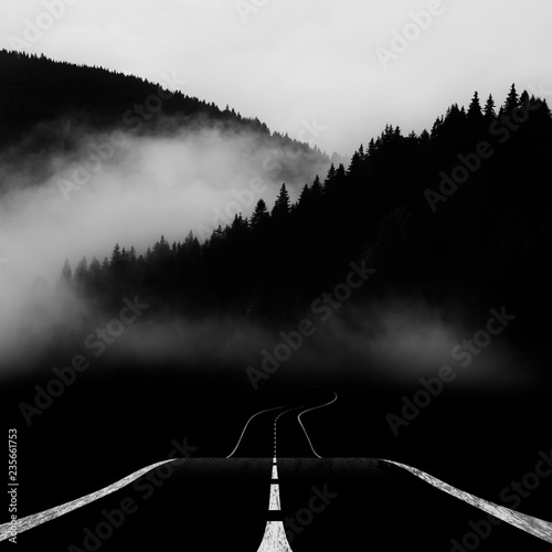 dark road in nature landscape