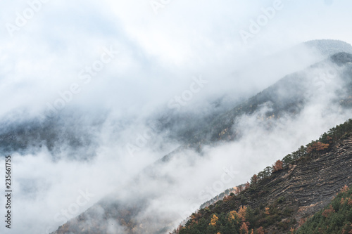 misty landscape at foggy mountains © jon_chica
