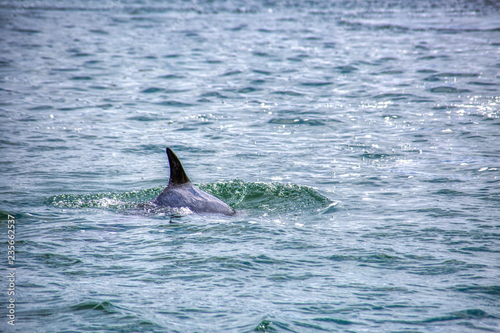 Naklejka premium Irland