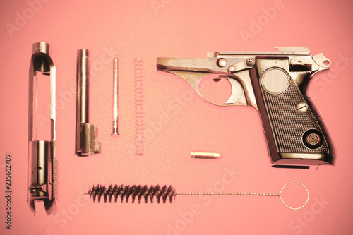 Disassembled pistol and cartridge