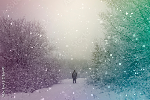 man walking on snowy path in magical winter scene