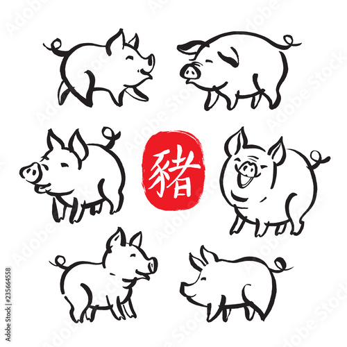 Chinese New Year hand drawn symbols - Pig. Vector set of zodiac symbol of the year - pig and brush calligraphy hieroglyph denoting pig.