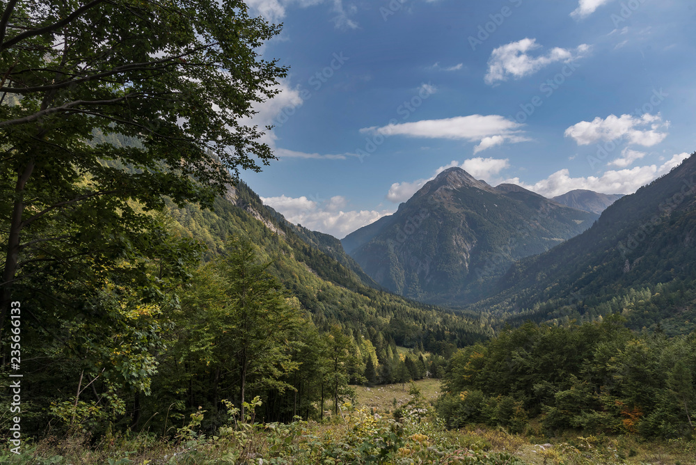 Fototapeta premium Karnische Alpen