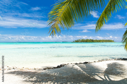 travel, seascape and nature concept - tropical beach with palm tree in french polynesia
