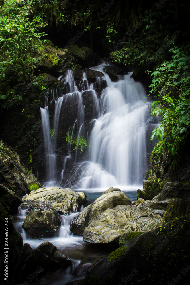Cachoeira Rainforest PETAR