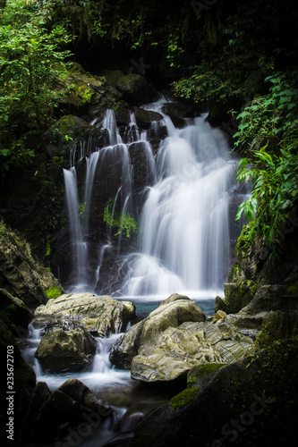 Fototapeta Naklejka Na Ścianę i Meble -  Cachoeira Rainforest PETAR