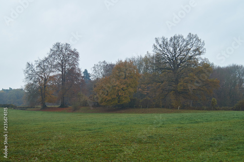 Herbstimpressionen 